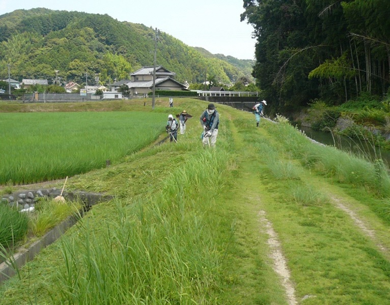 草刈り